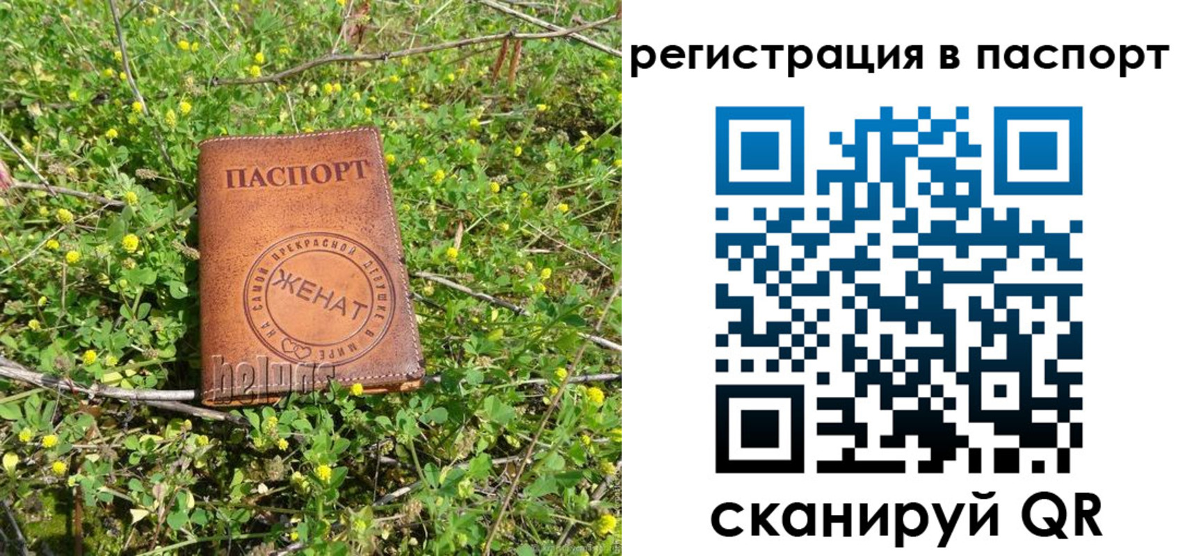прописка законно в Малгобеке